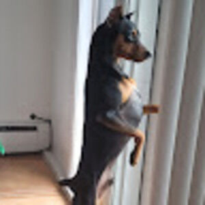 Meet your Posher, Geo